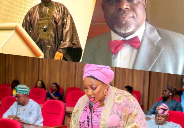 Hon. Olawumi Annah Fayemi-Obayelu Congratulates Jimoh Ibrahim and Sola Iji on Ambassadorial Appointments